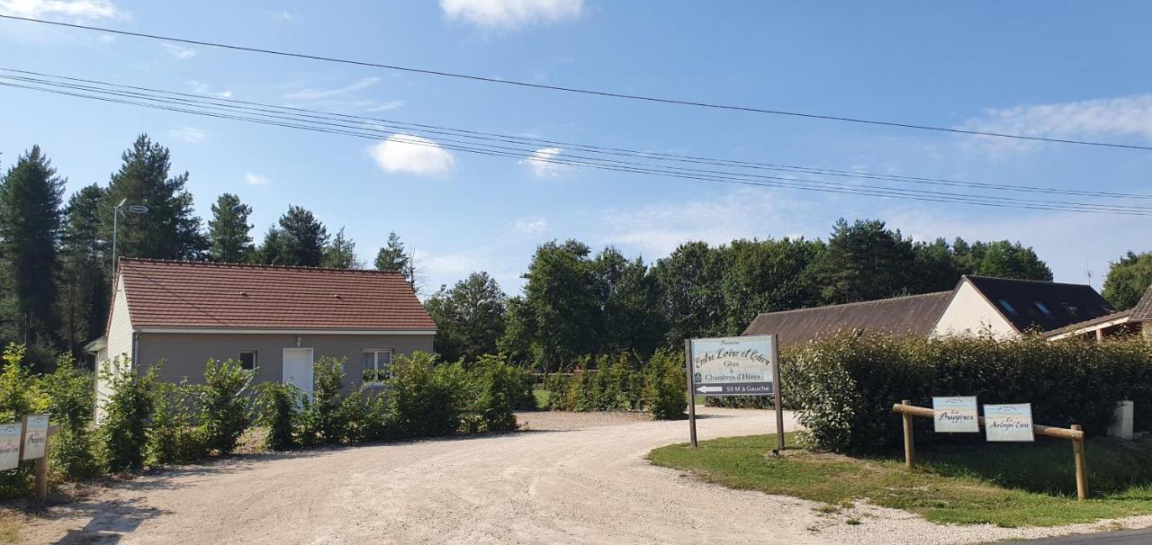Entre Loire Et Cher "Les Bruyeres" Gite & Spa Privatif Tour-en-Sologne 외부 사진